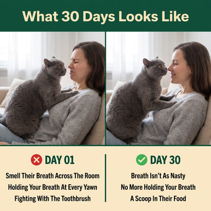 Mabel™ Dental Powder for Cats — Bacon Flavor