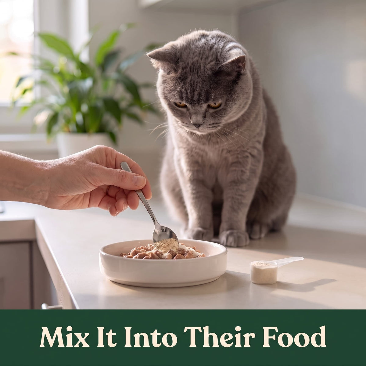 Mabel™ Dental Powder for Cats — Bacon Flavor