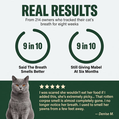 Mabel™ Dental Powder for Cats — Bacon Flavor